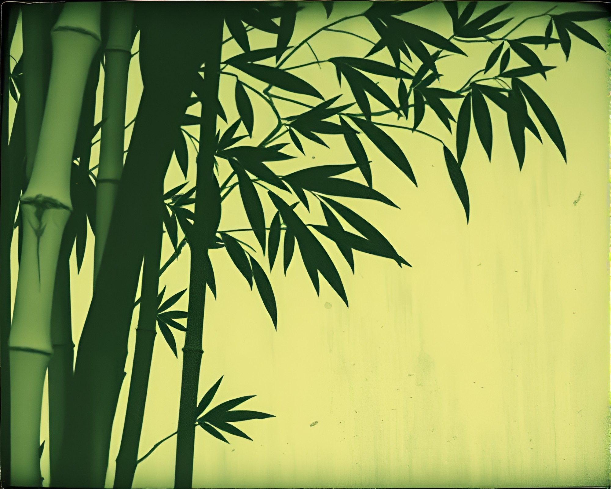 Bamboo Flute Fantasy Woodcut Print Composition – free AI stock image
