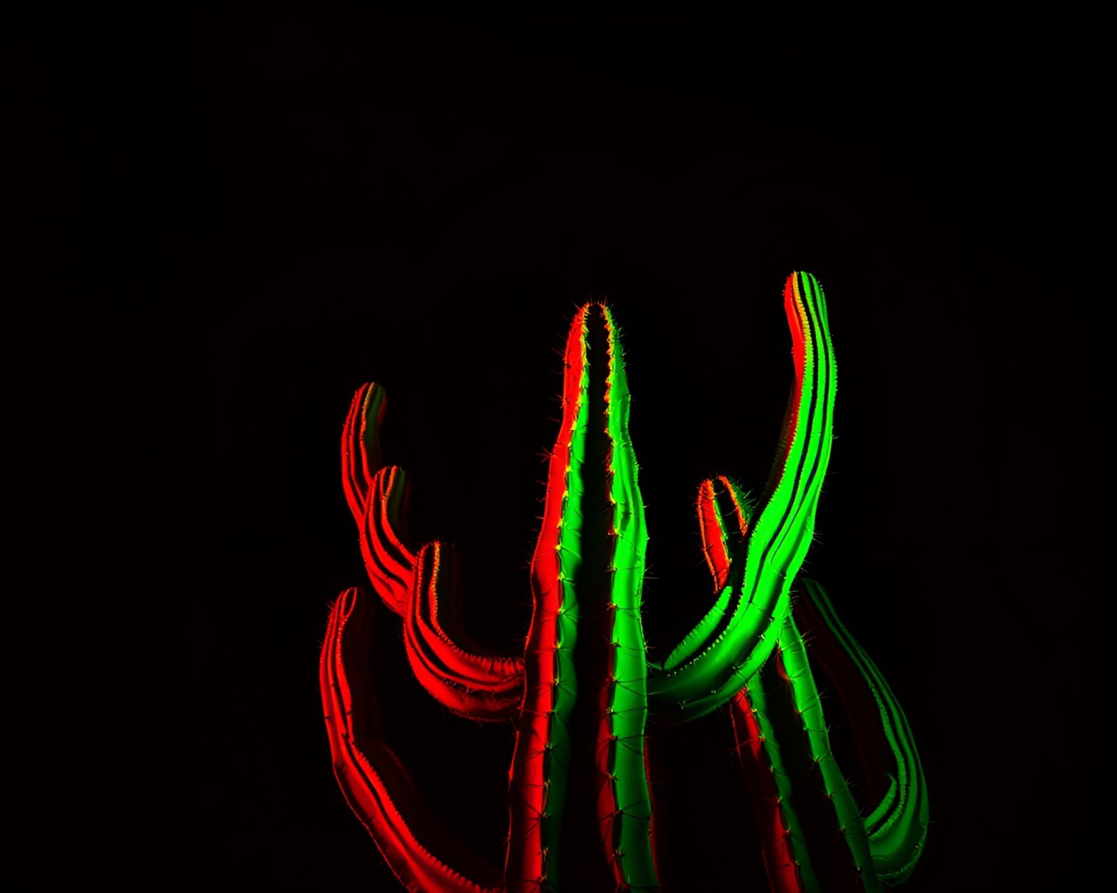 Cactus silhouetted against neon sunset in desert landscape