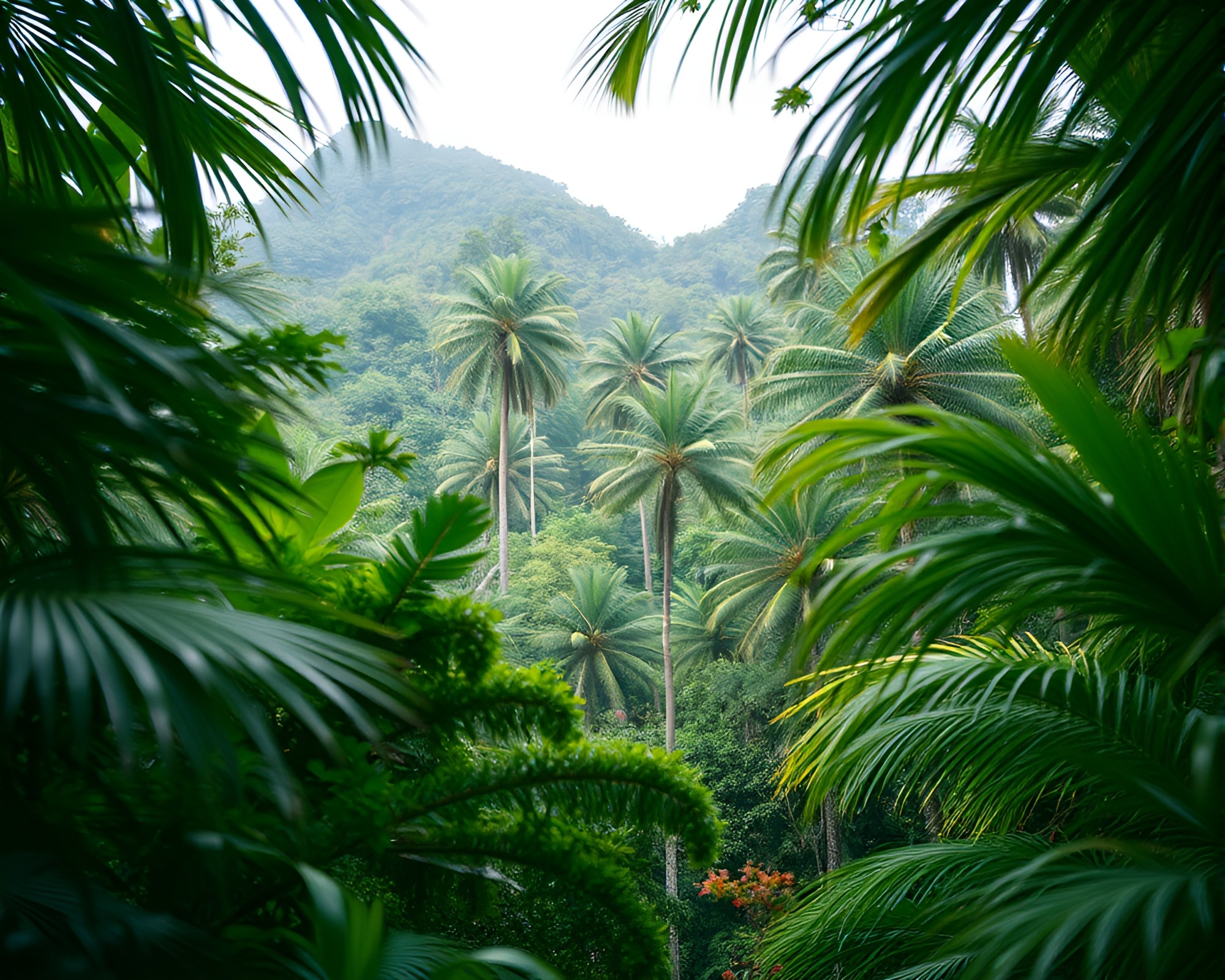 Enchanted Jungle Frame with Surreal Color Shift – free AI stock image