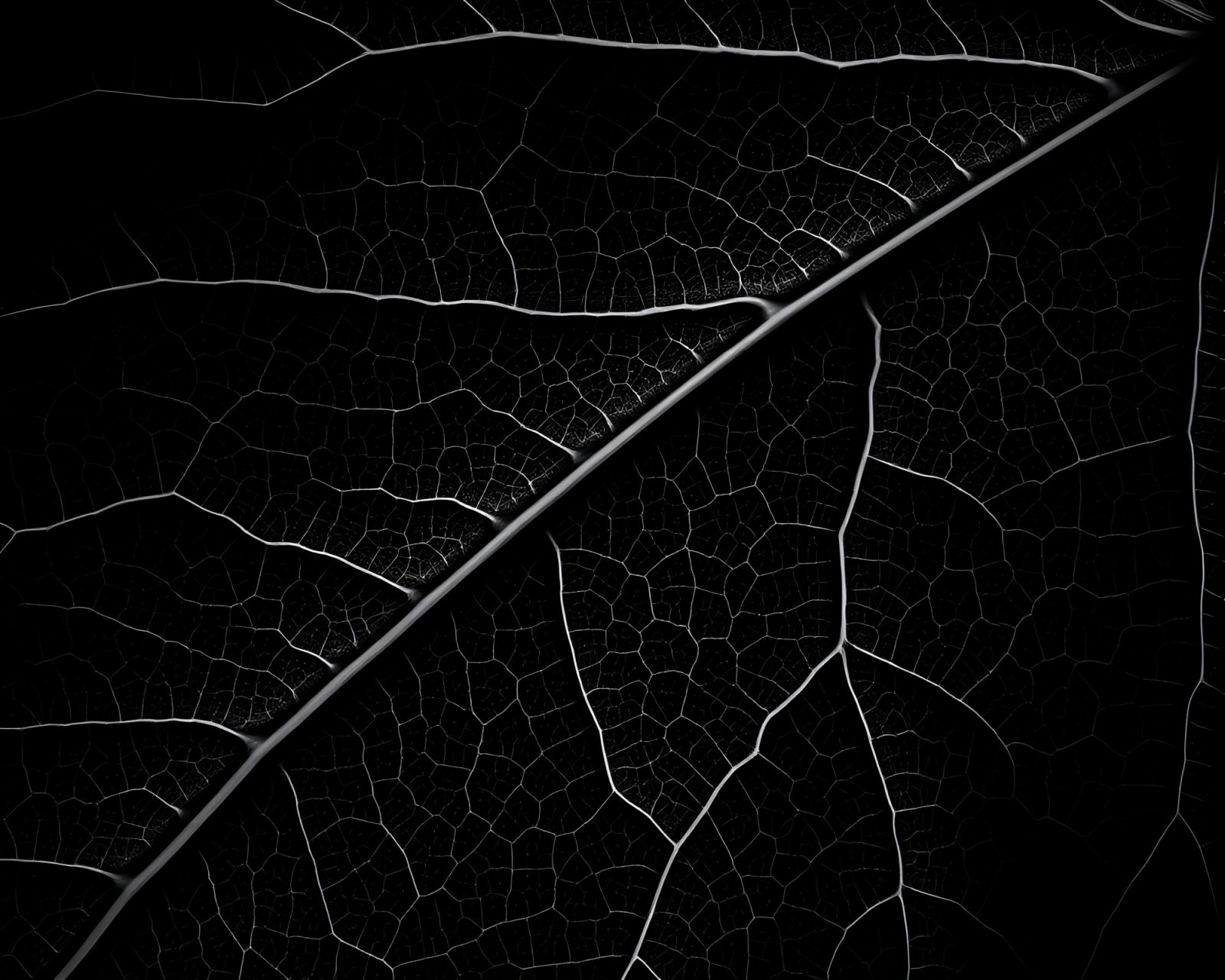 Dramatic chiaroscuro scene of airship in leafy jungle