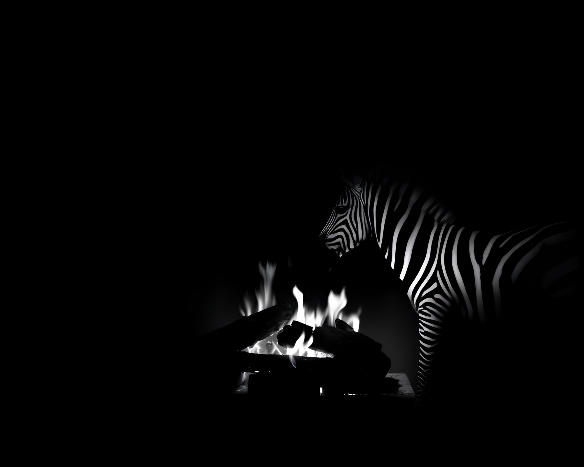 Zebra Stripes in Noir – free AI stock image