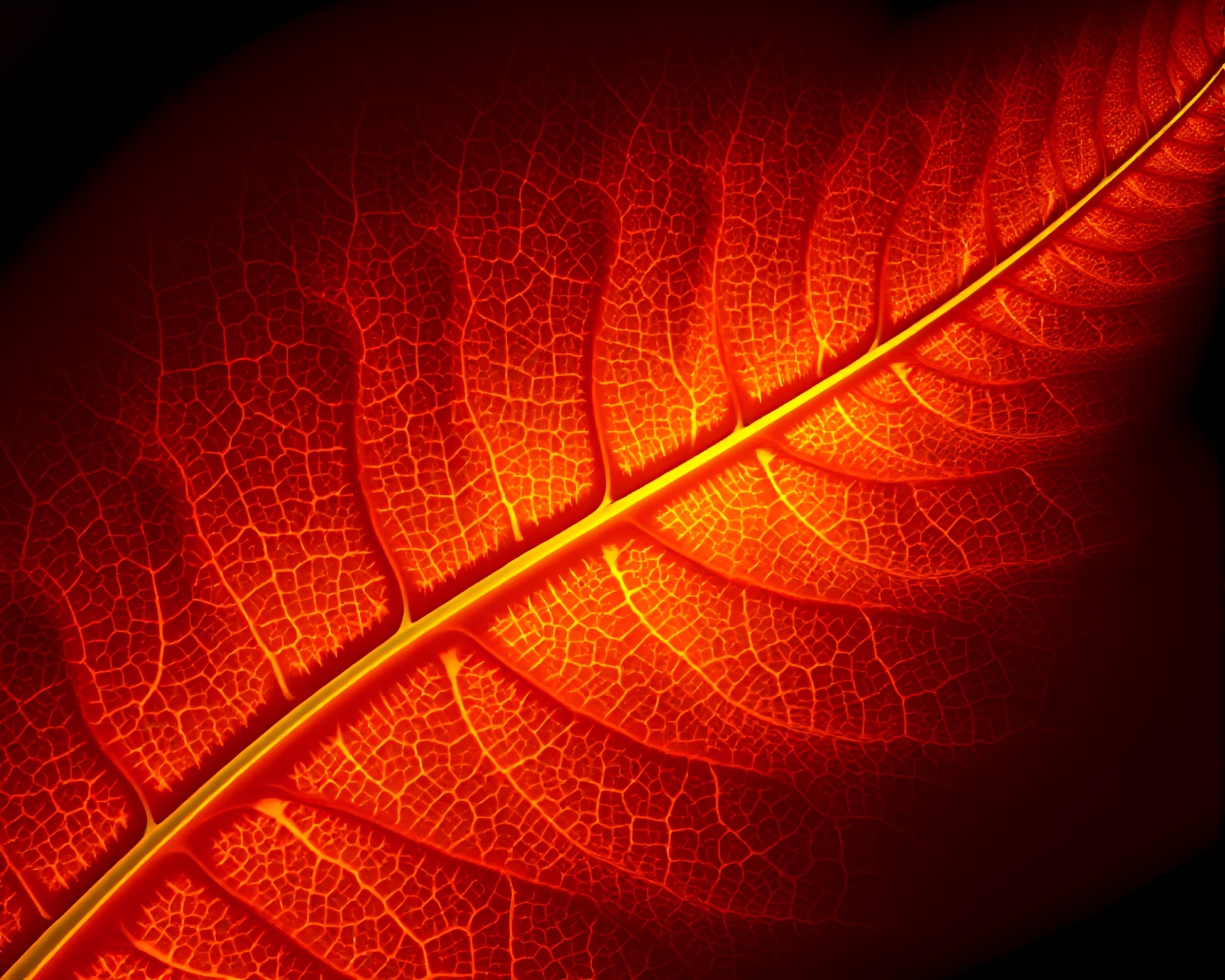Chimera Leaf Vein Fractal Glow Composition – free AI stock image