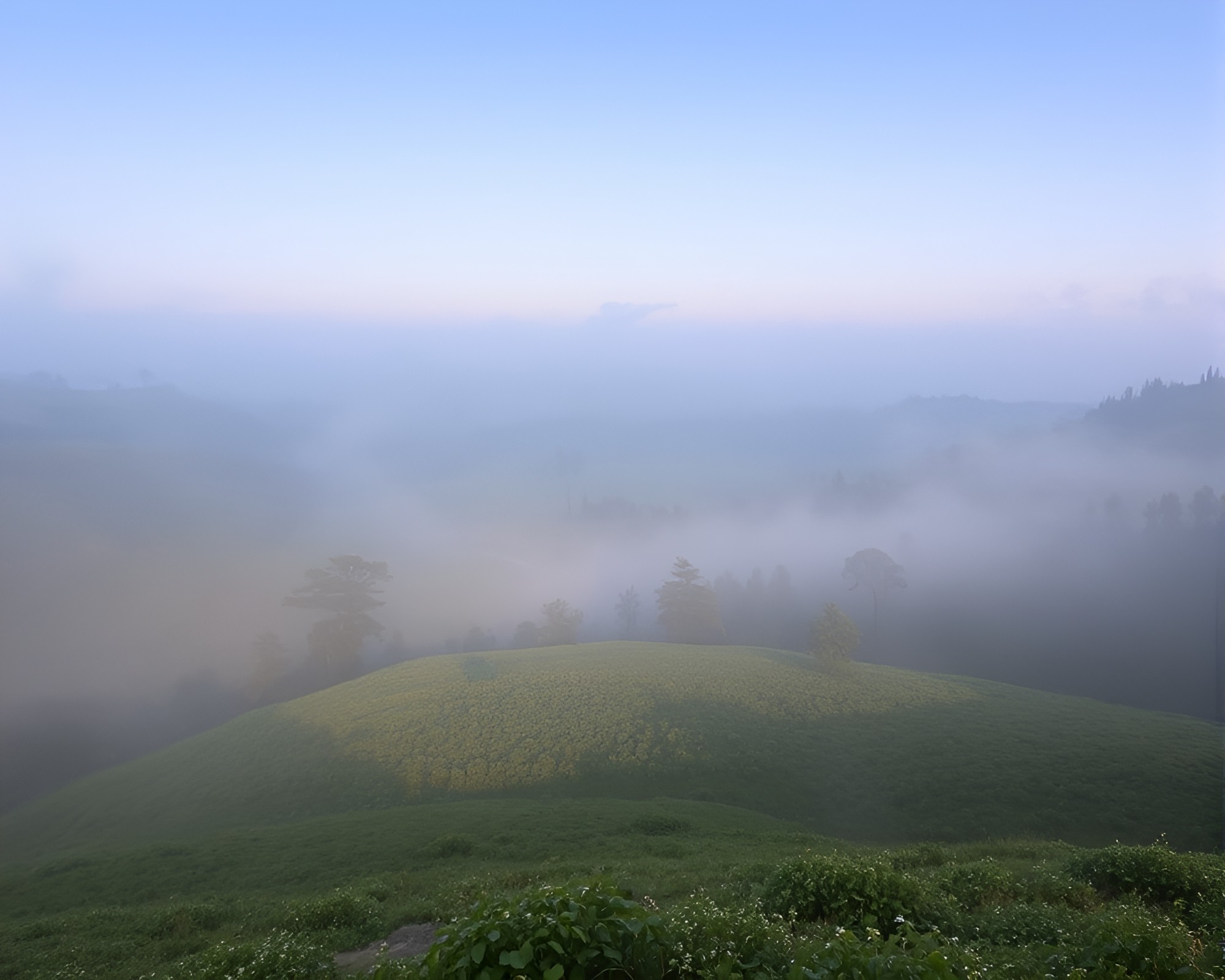 Mildew Valley Dream: A Stereograph Escape – free AI stock image