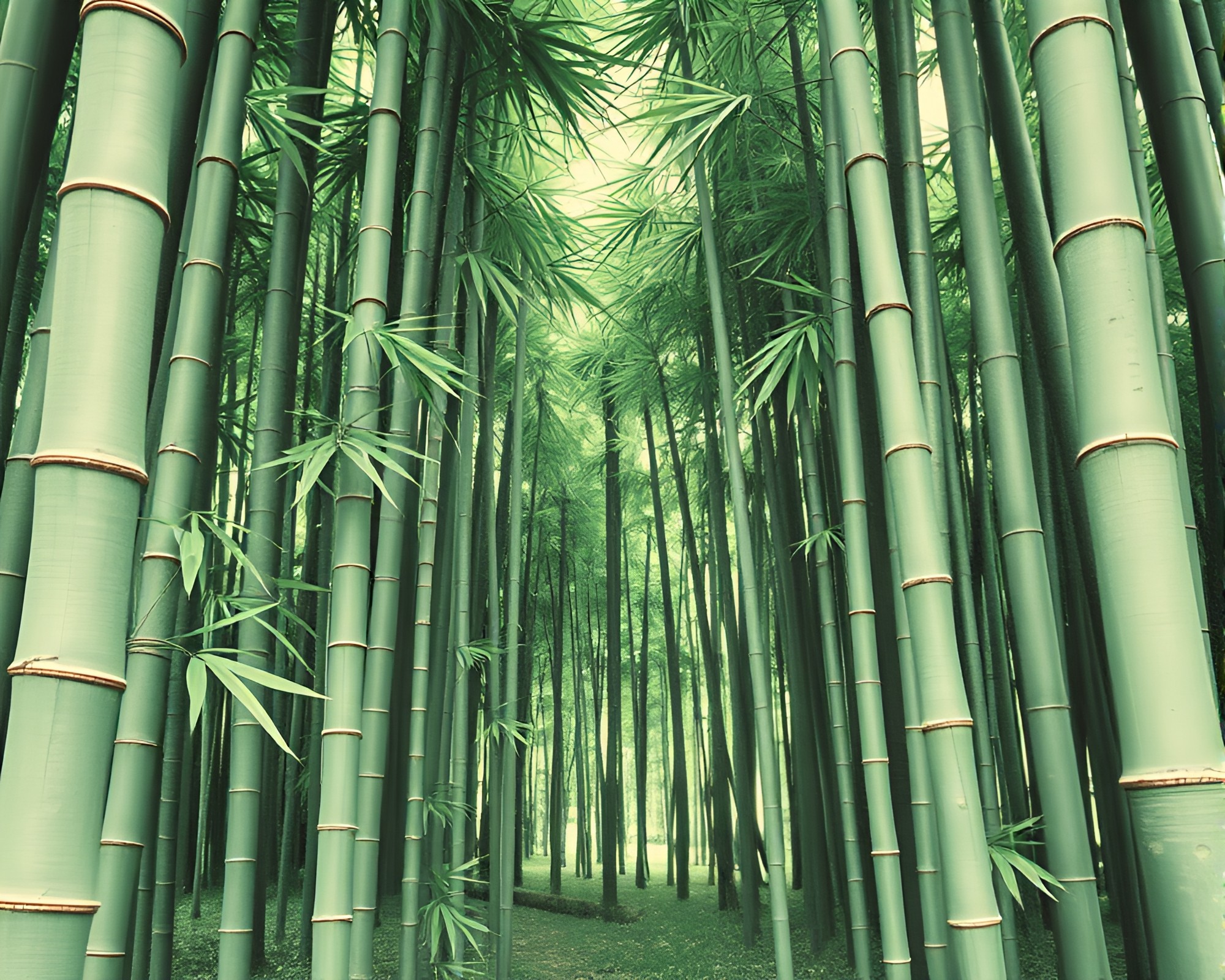 Botanical Illustration of Bamboo Grove on Paper Texture – free AI stock image